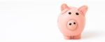 Pink piggy bank on white background